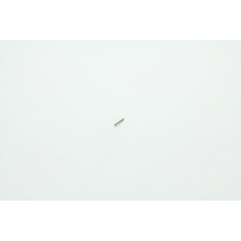 VIS 2.9x19 POUR AUTOLAVEUSE DULEVO